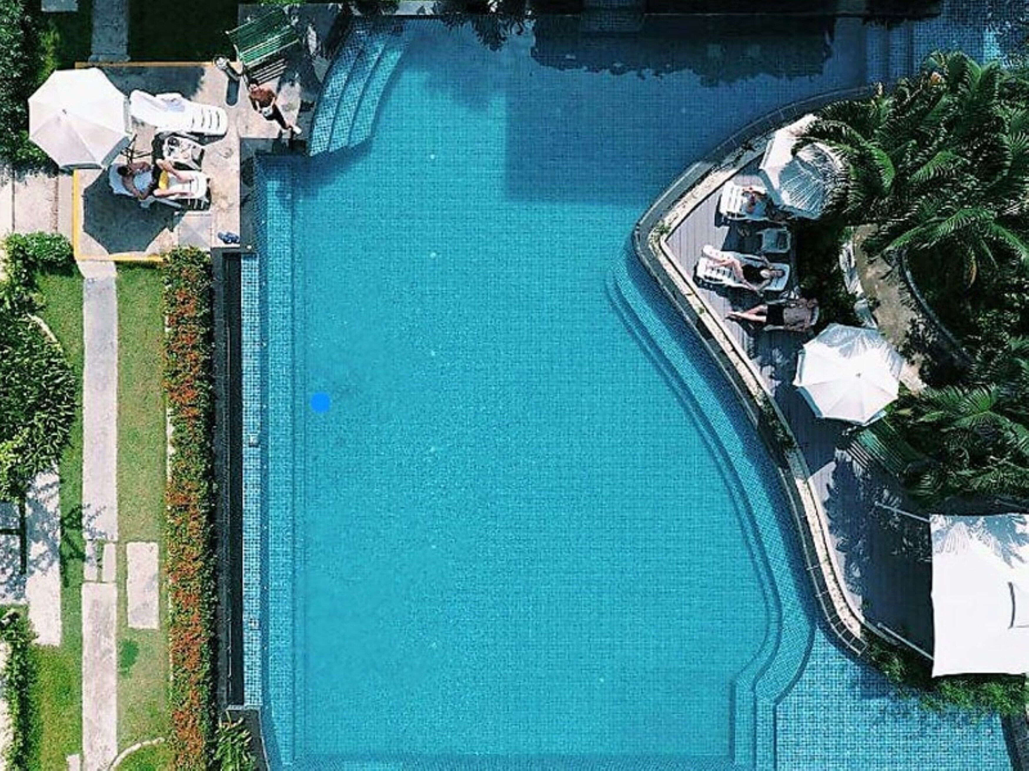 An aerial view of a swimming pool with lounge chairs and umbrellas, surrounded by greenery.