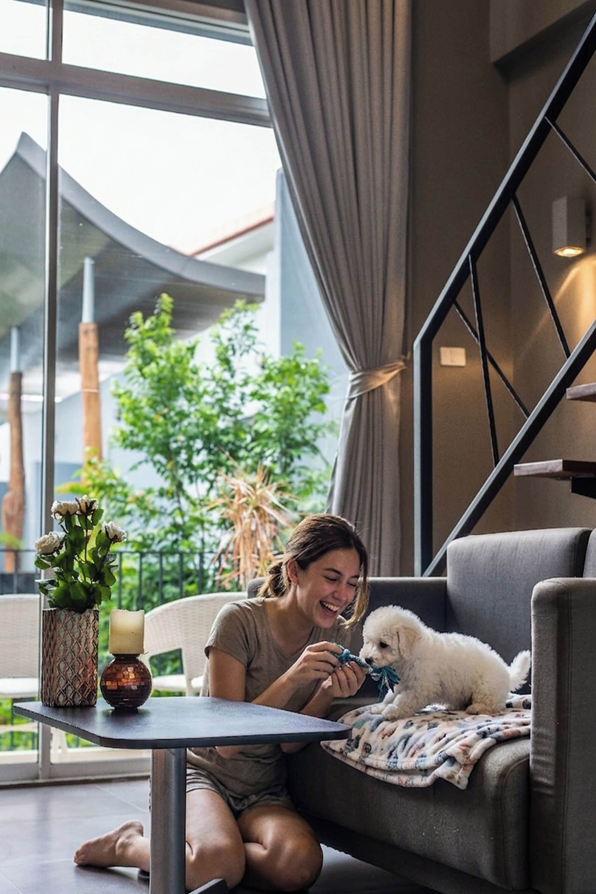 Duplex Pet Friendly Room | Premium bedding, minibar, in-room safe, desk