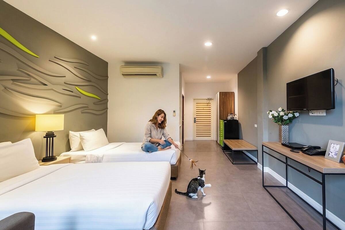 A modern hotel room with two beds, a desk, a TV, and a cat playing with a toy.