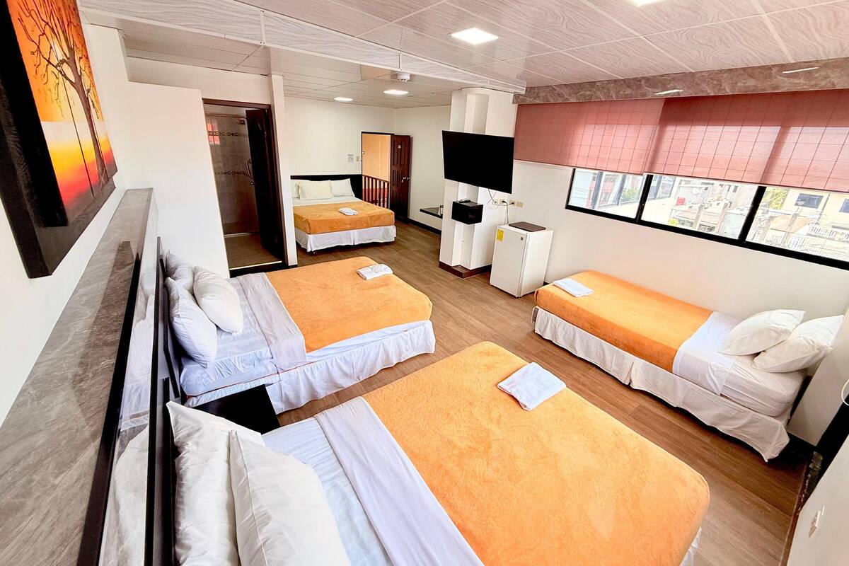 Habitación de hotel con dos camas individuales, un escritorio, una televisión y una ventana con vista a la ciudad.