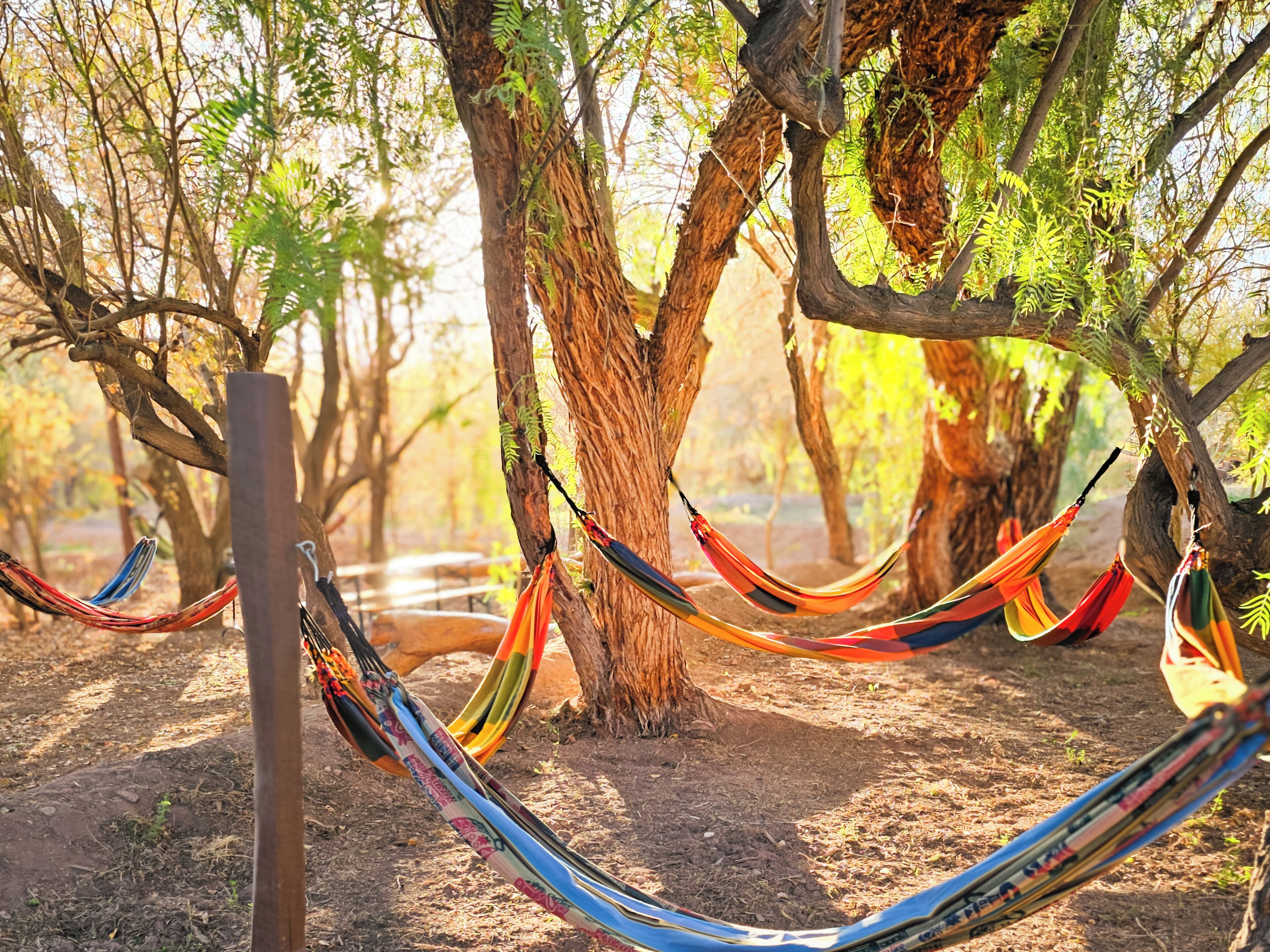 Photo - Lodge Ancar Atacama