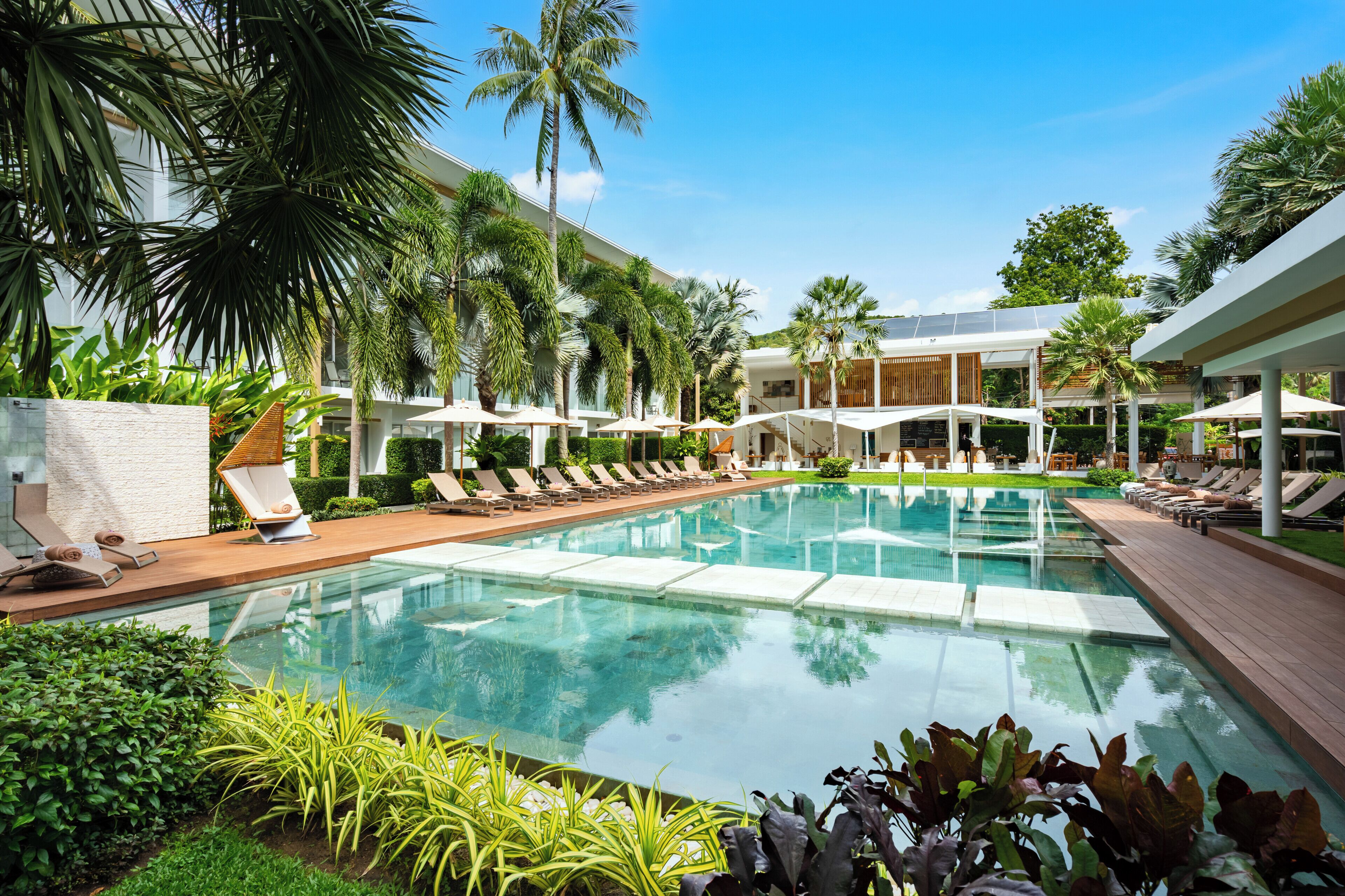 Área de piscina com espreguiçadeiras e palmeiras.
