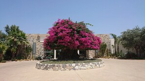 Entrada de la propiedad