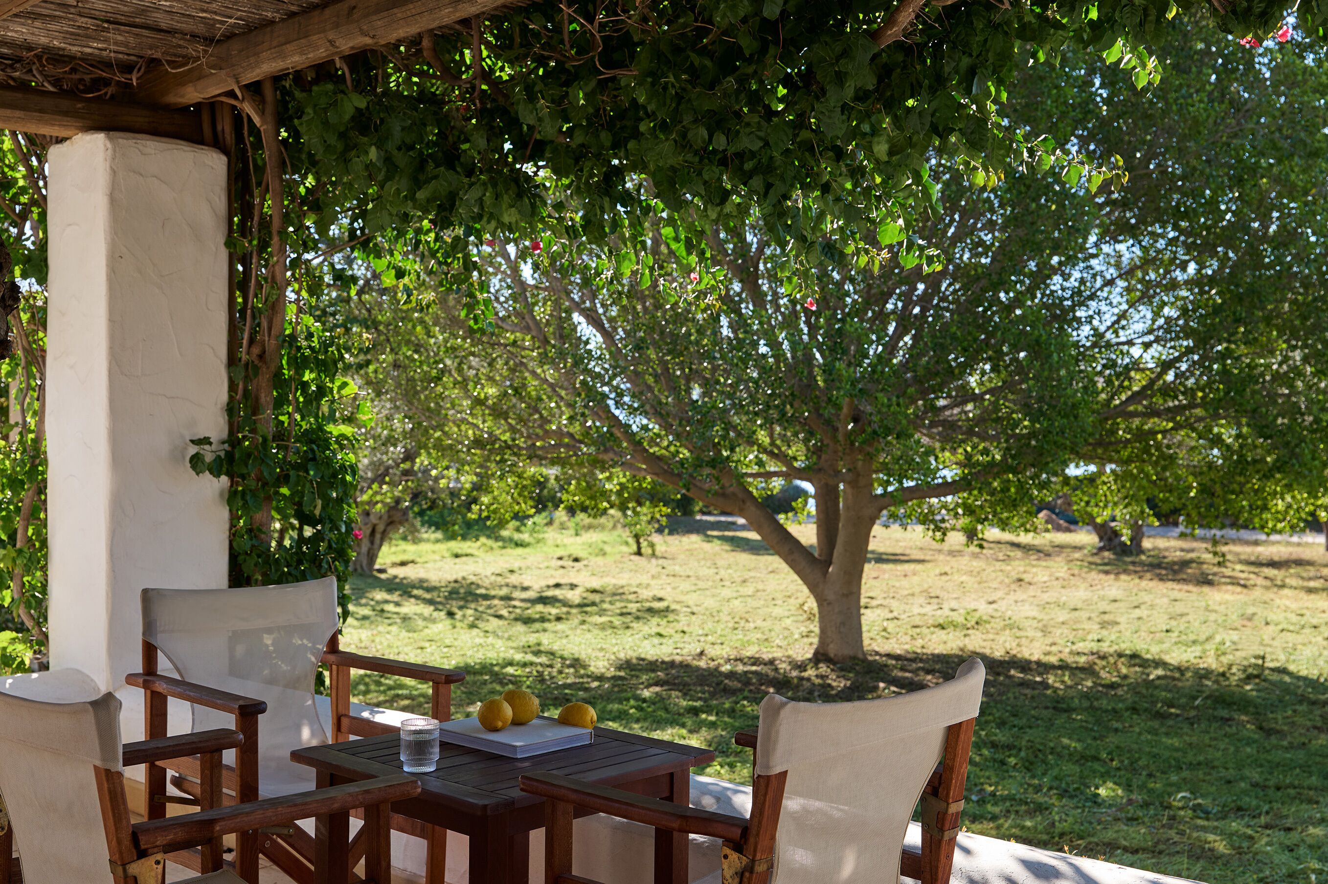 Une table en bois, entourée de chaises, placée sous une pergola, le tout agrémenté de verdure et d’un arbre.