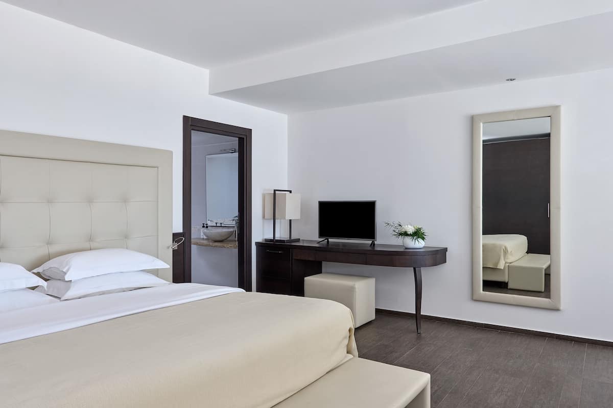 A hotel room with a bed, a desk, a television, and a mirror.