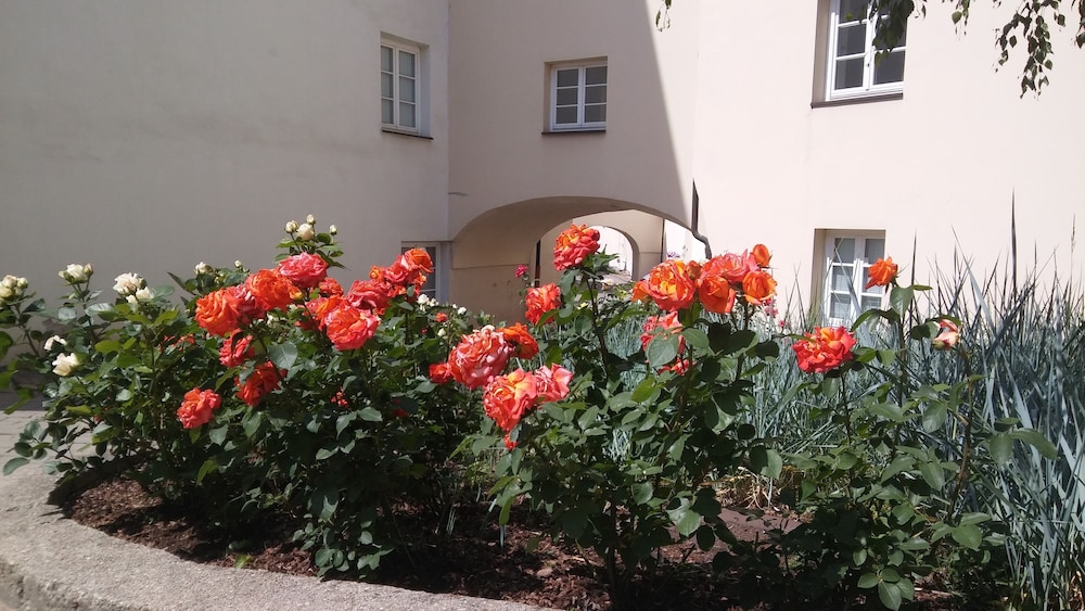 Domus Maria Hotel by null