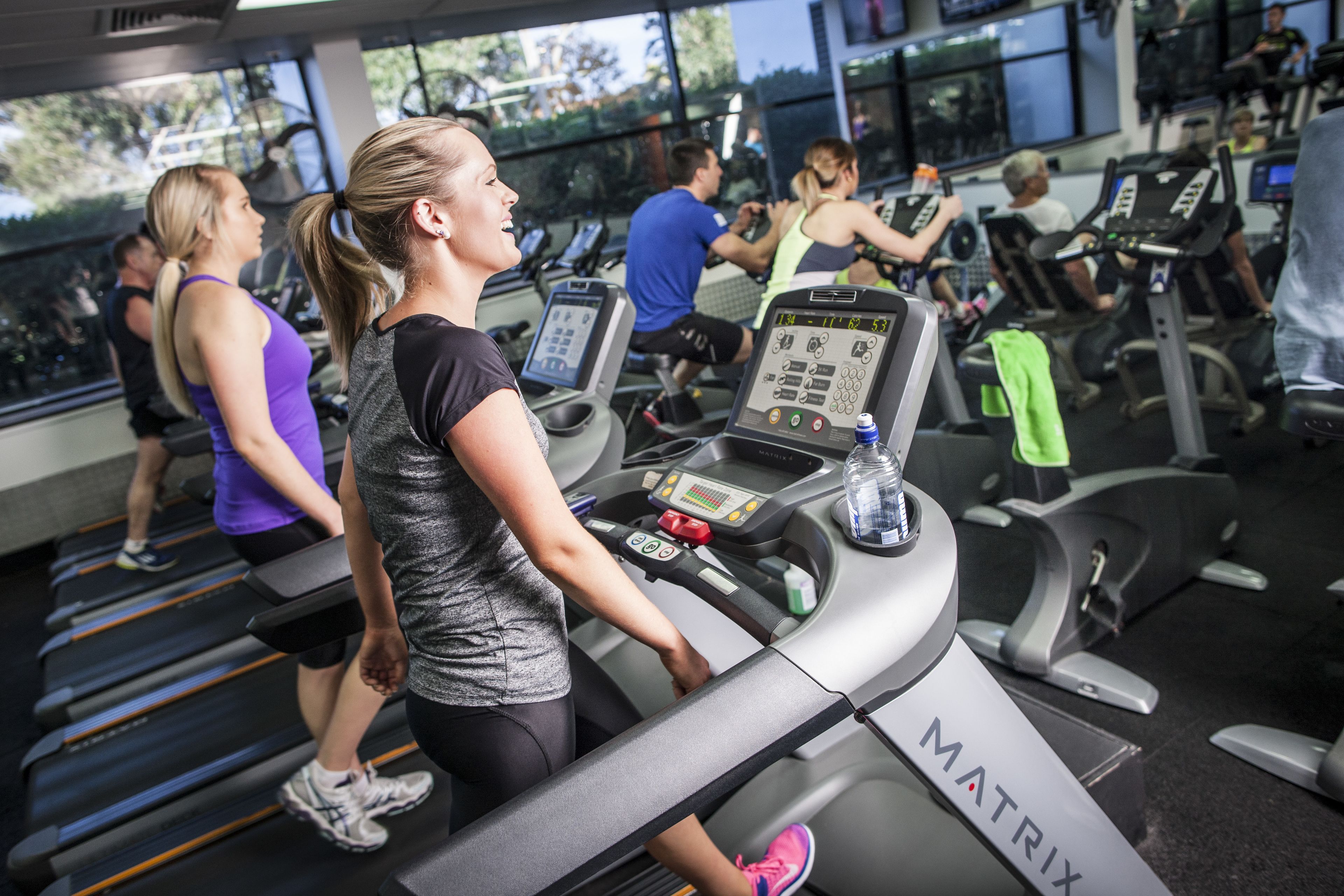 A gym with treadmills and exercise equipment.