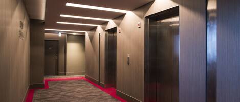 A modern hallway with carpeted flooring, red carpet accents, and a row of elevators.