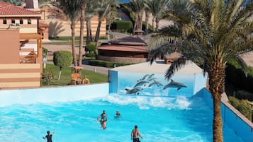 Outdoor pool, pool umbrellas, pool loungers