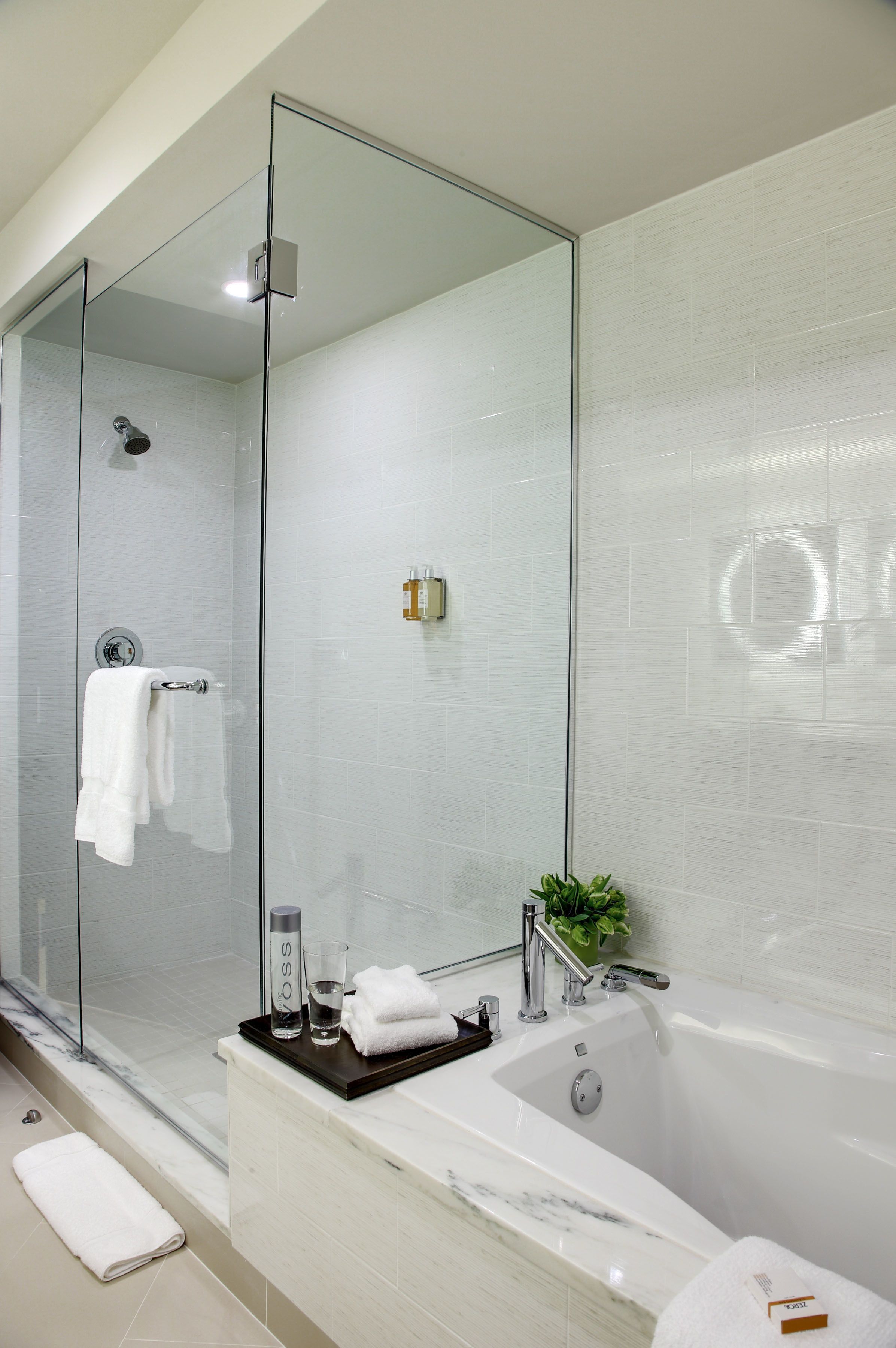 shower, hydromassage showerhead, designer toiletries, hair dryer