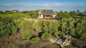 A traditional thatched-roof house surrounded by dense mangrove vegetation.