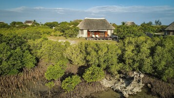 A traditional thatched-roof house surrounded by dense mangrove vegetation.
