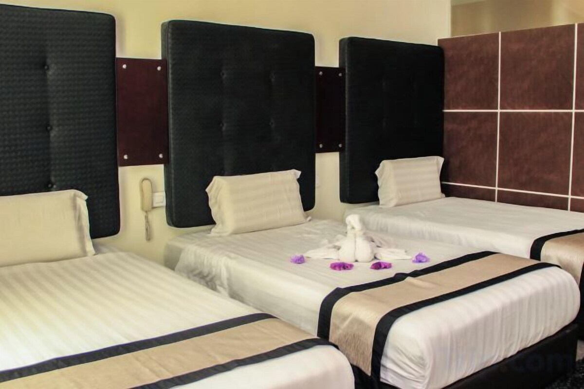 Quarto