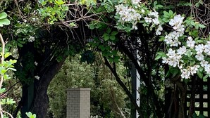 A garden with a wooden pergola, stone bench, and a table with chairs. - Links House (Burradoo)