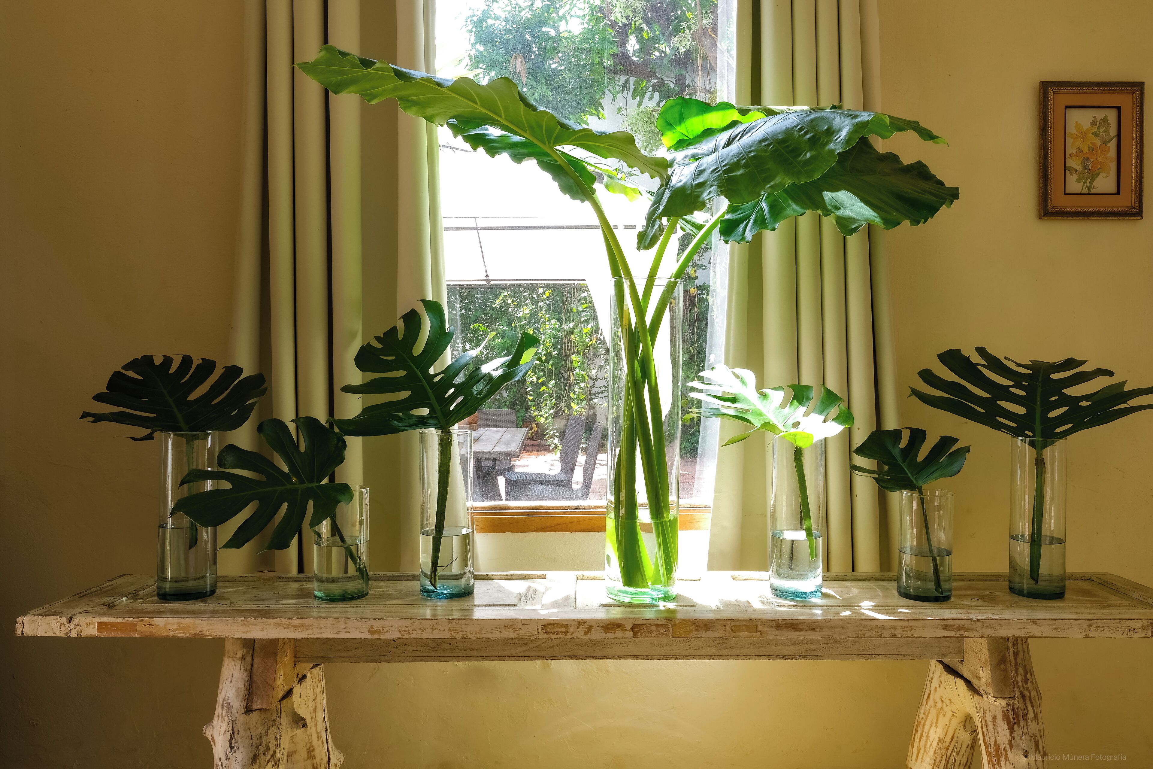 普通套房 (With Private Bath ) | 客房內保險箱、免費無線上網、床單、無障礙通道