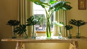 Una mesa de madera con cinco jarrones de vidrio que contienen hojas verdes grandes, ubicada junto a una ventana con cortinas.