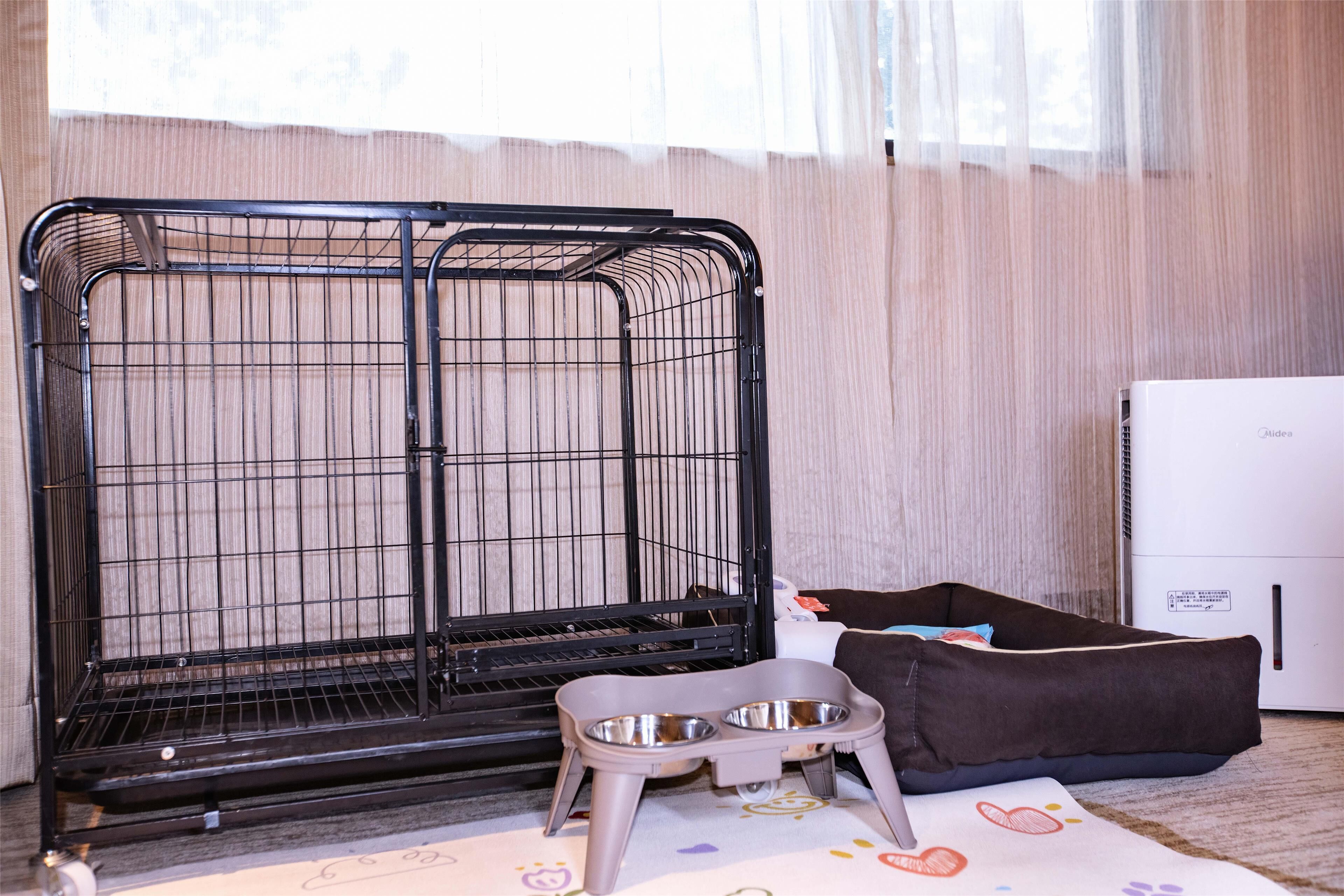 Chambre, 2 lits une place (Pet-Friendly) | Coffres-forts dans les chambres, bureau