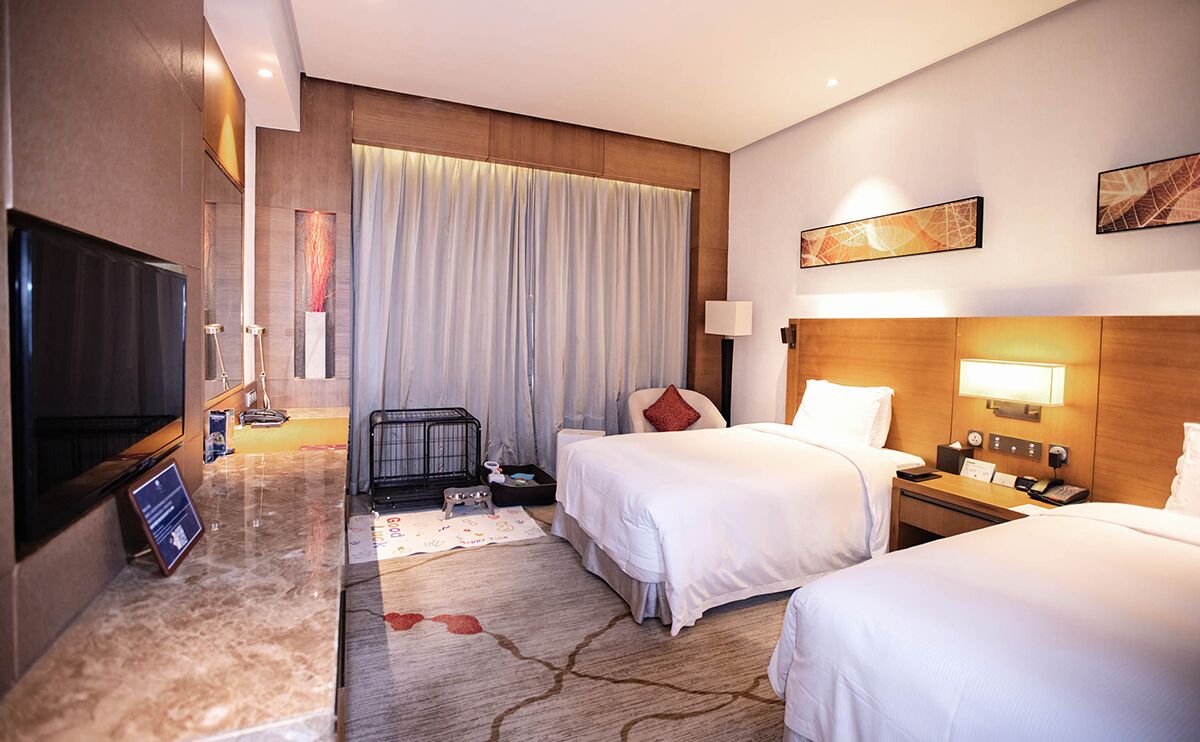 Huone, 2 yhden hengen sänkyä (Pet-Friendly) | Tallelokero huoneessa, työpöytä