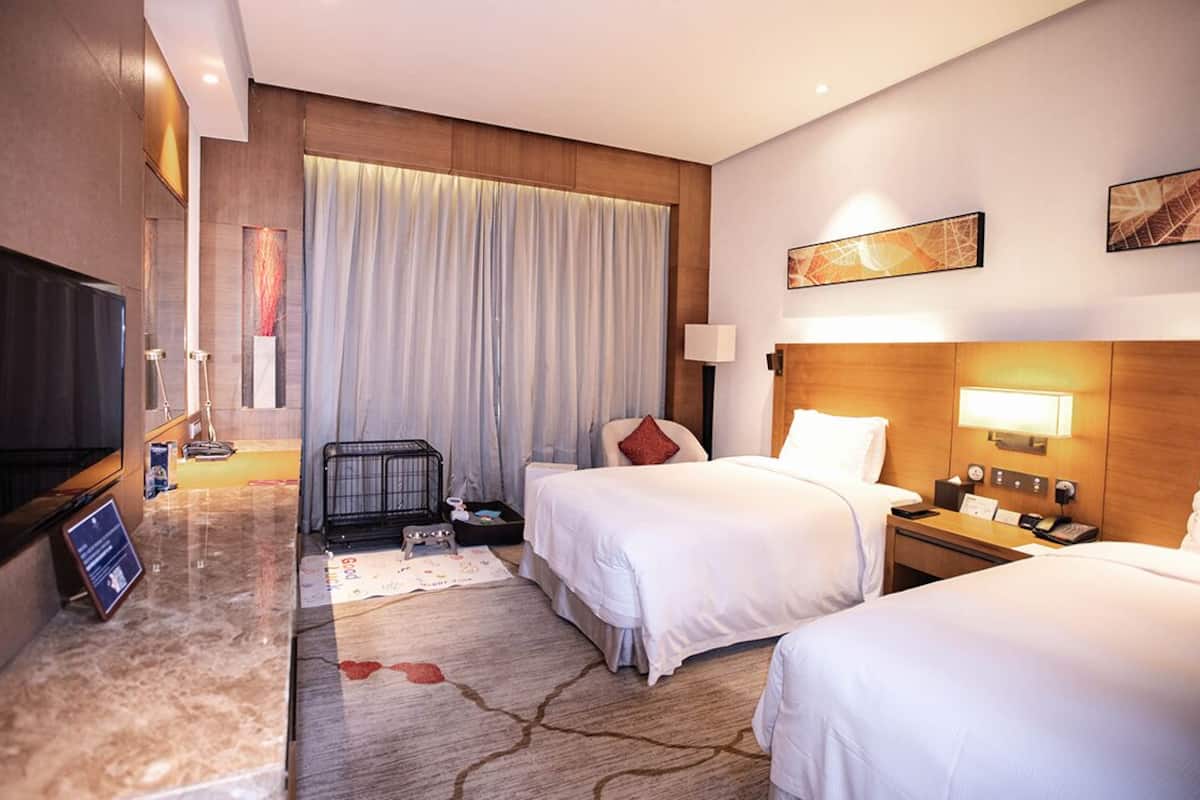 Huone, 2 yhden hengen sänkyä (Pet-Friendly) | Tallelokero huoneessa, työpöytä