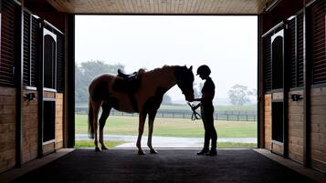 A stable interior with a horse and rider, wooden walls, and a view of the outside.