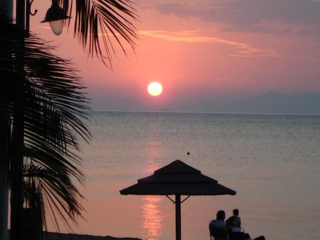 Vista desde la propiedad