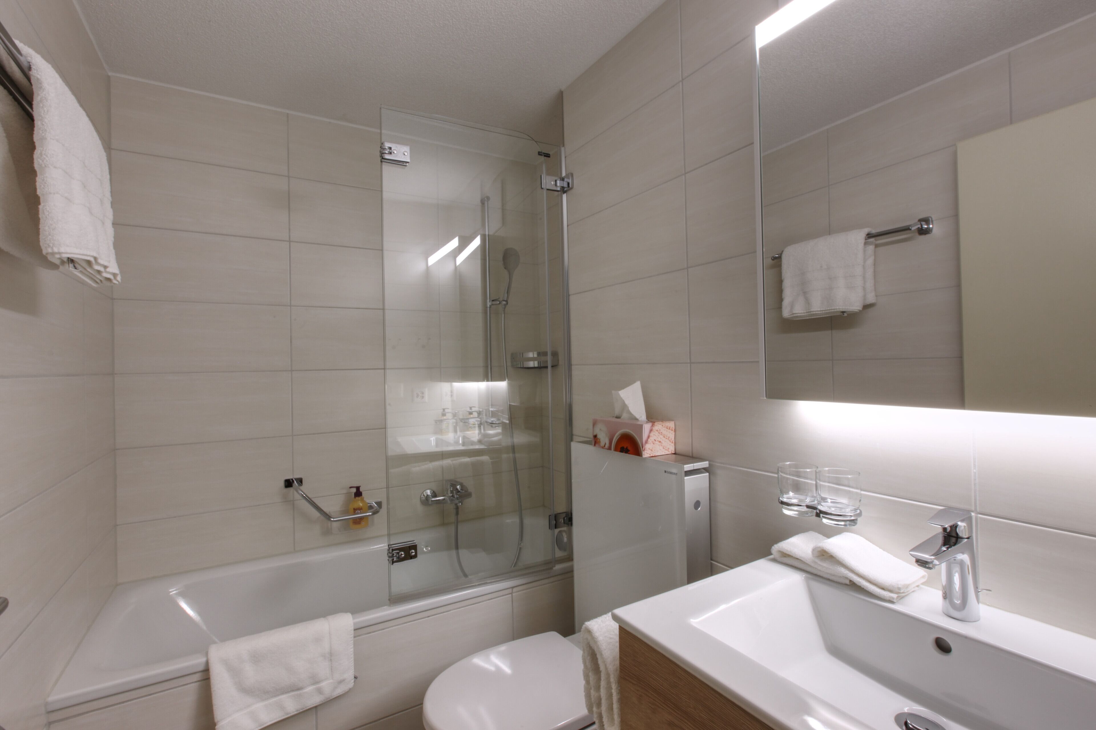 apartment (bellevue) | bathroom | hair dryer, towels
