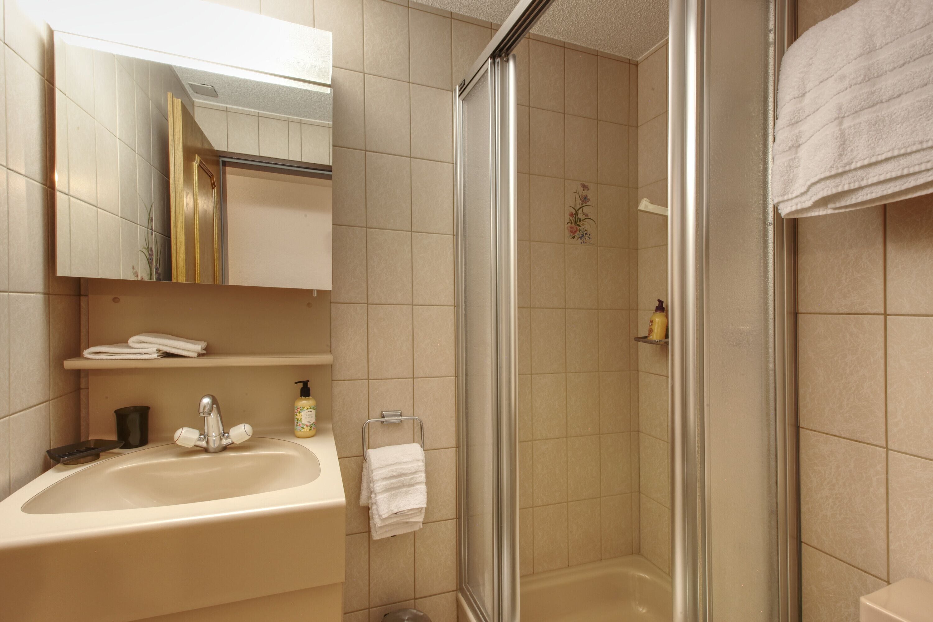 standard apartment, 3 bedrooms | bathroom | hair dryer, towels