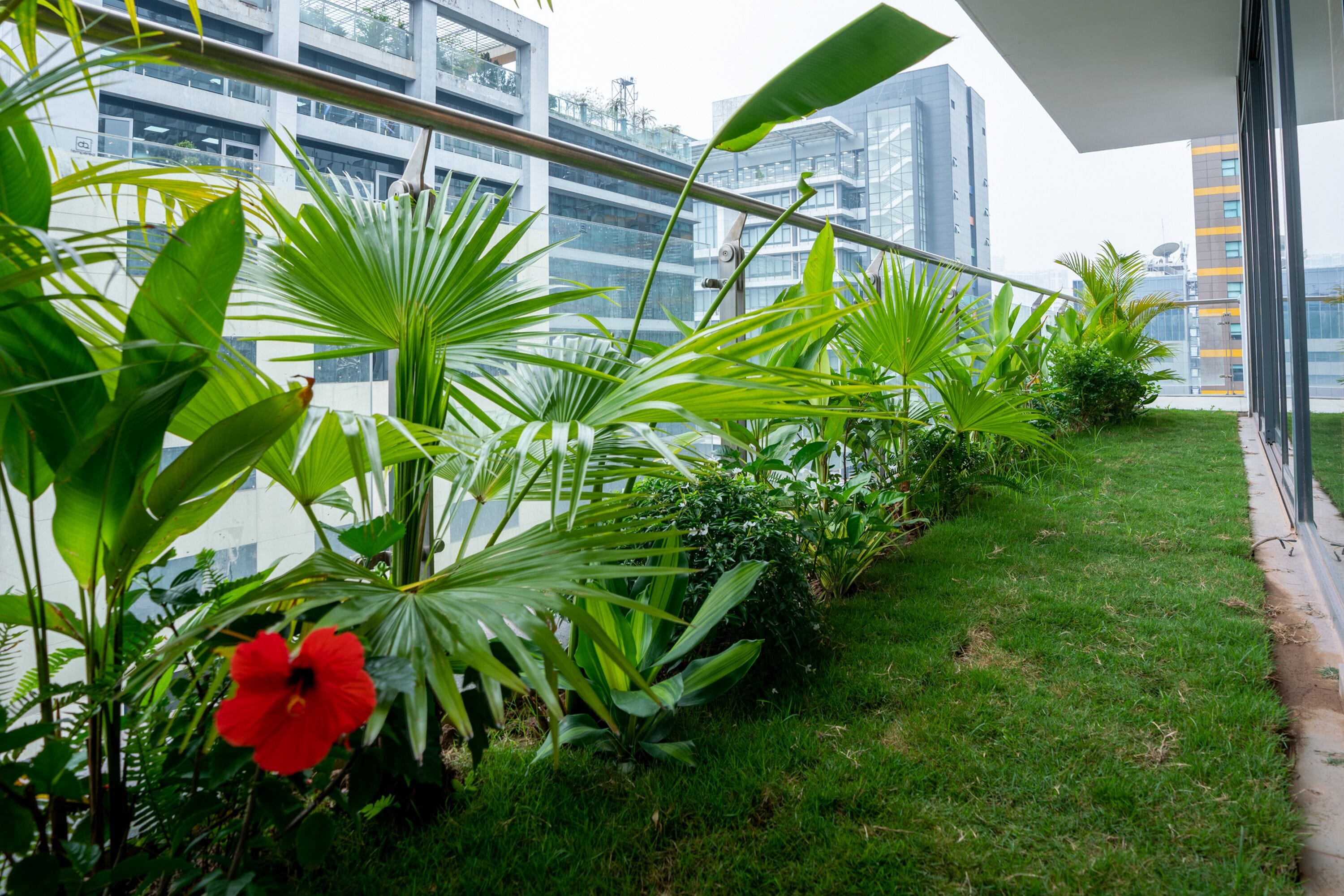 king suite with balcony | 1 bedroom, minibar, in-room safe, desk