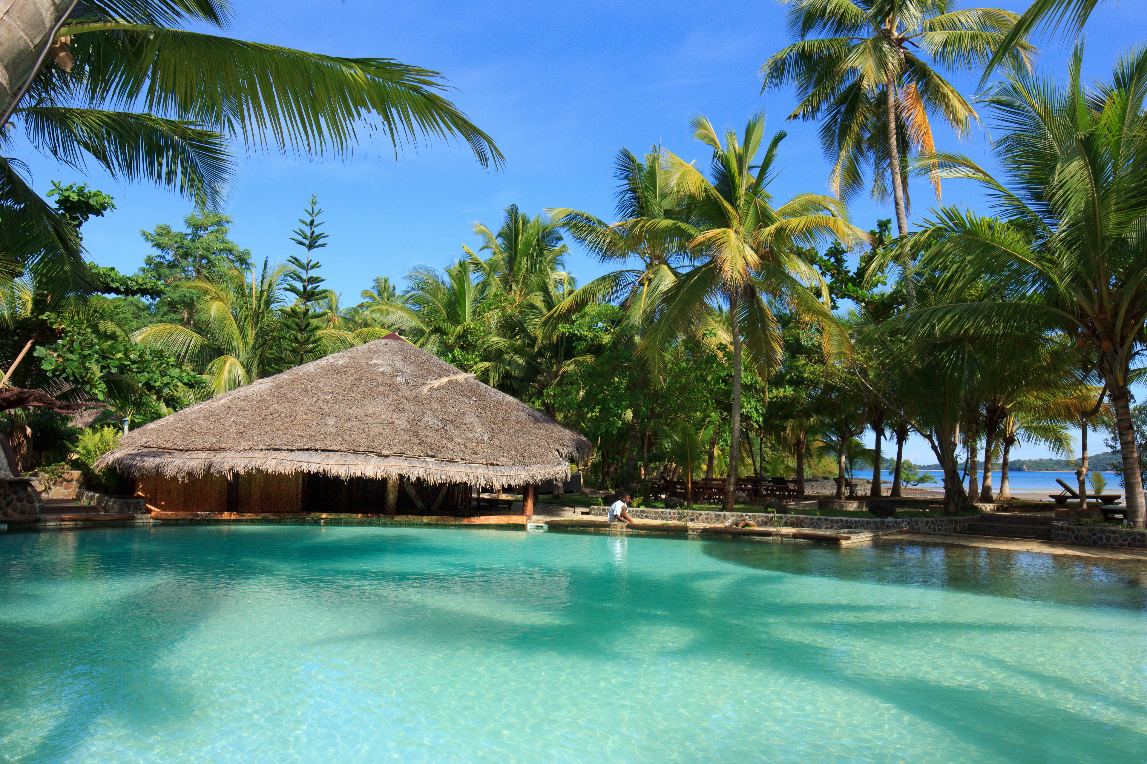 Outdoor pool, pool umbrellas, sun loungers