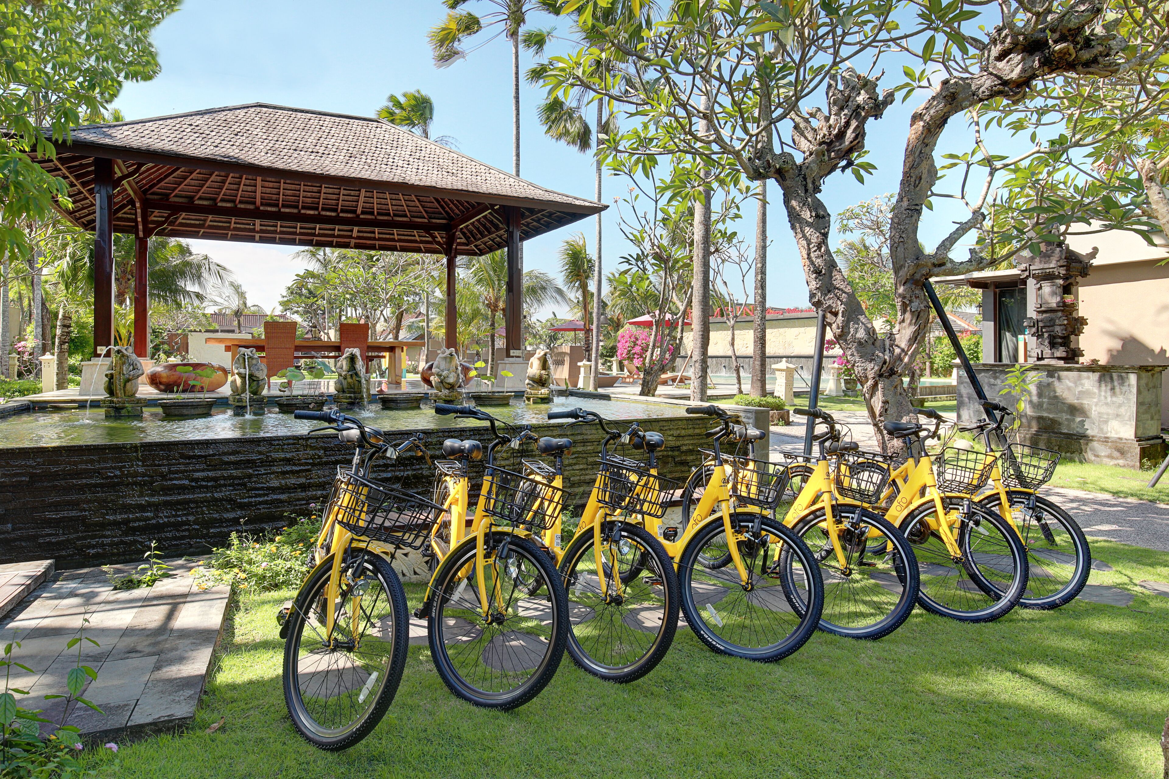 Una fila de bicicletas amarillas estacionadas en un césped, con una fuente y un pabellón al fondo.