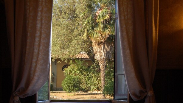 A dining area with a table set for two, a window with curtains, and a view of a palm tree and building outside.