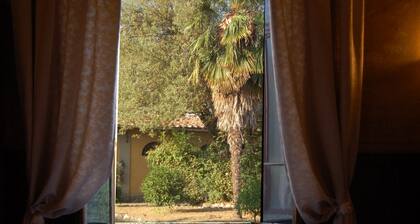 B&B Antica Piazza dei Miracoli