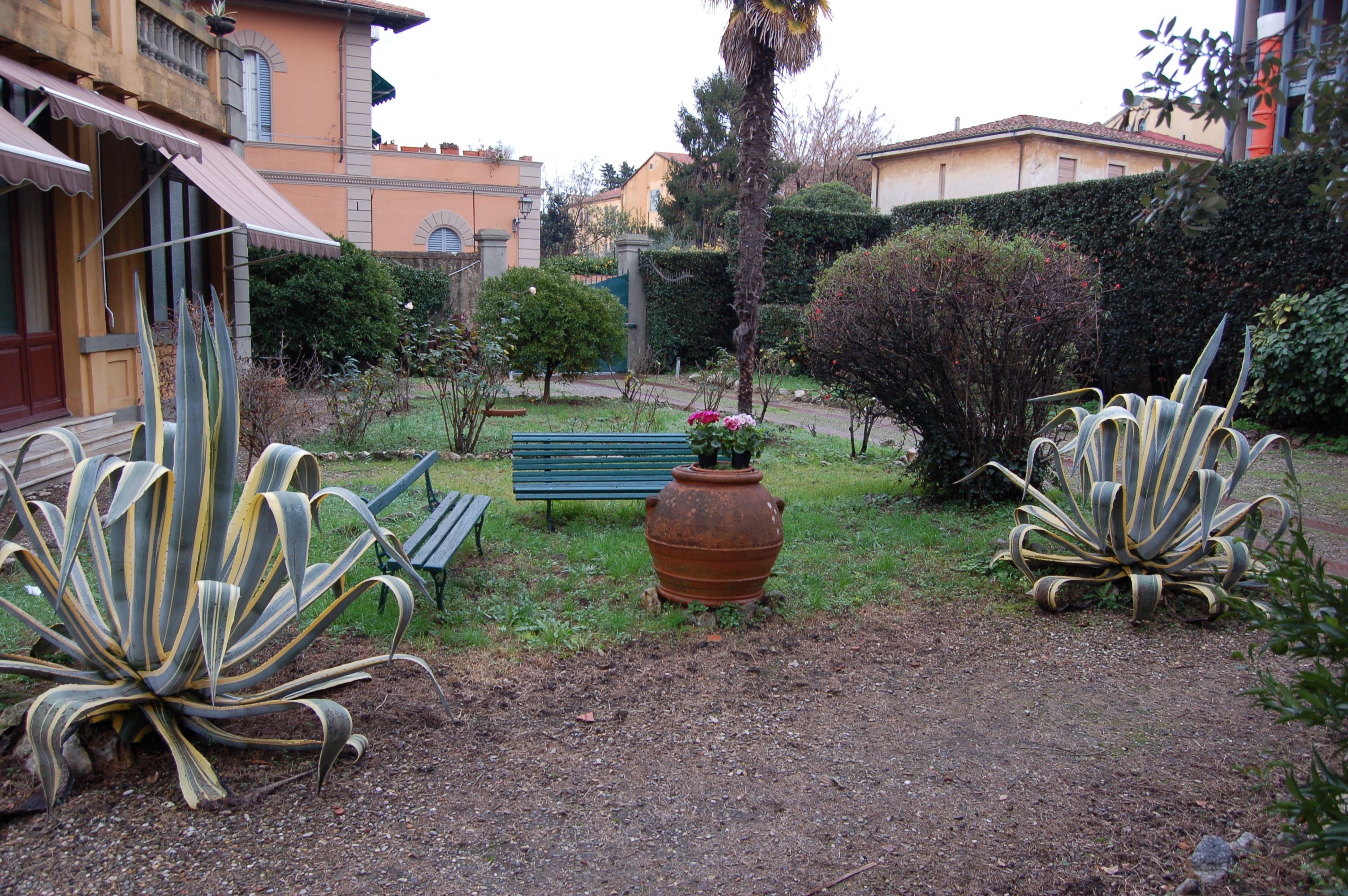 Photo - B&B Antica Piazza dei Miracoli