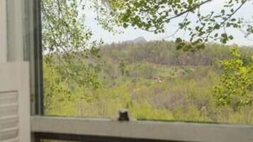 A view from a window with a view of a forested area and a mountain in the distance.