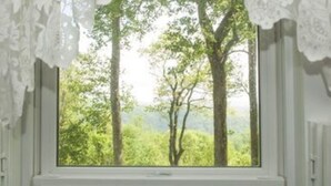 A window with a view of trees and a white lace curtain. - The Orchard Inn (Saluda)