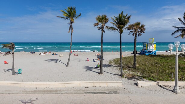 A beach with palm trees, a lifeguard tower, and a clear blue sky. - Laguna Blu Beach (Hollywood)