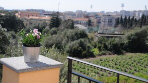 A balcony with a potted plant and a view of a cityscape and vineyards. - La Circumetnea B&B (Catania)