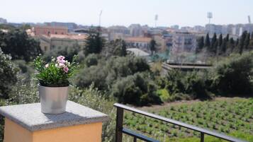 Vista desde la propiedad