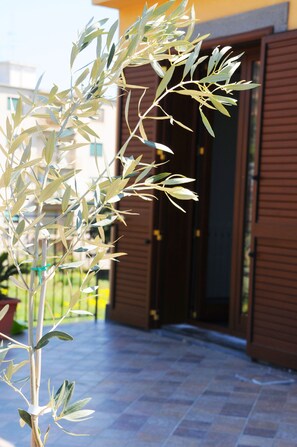 A potted olive tree in front of a building with brown shutters. - La Circumetnea B&B (Catania)