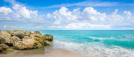 Playa en los alrededores, camastros, sombrillas y toallas de playa 