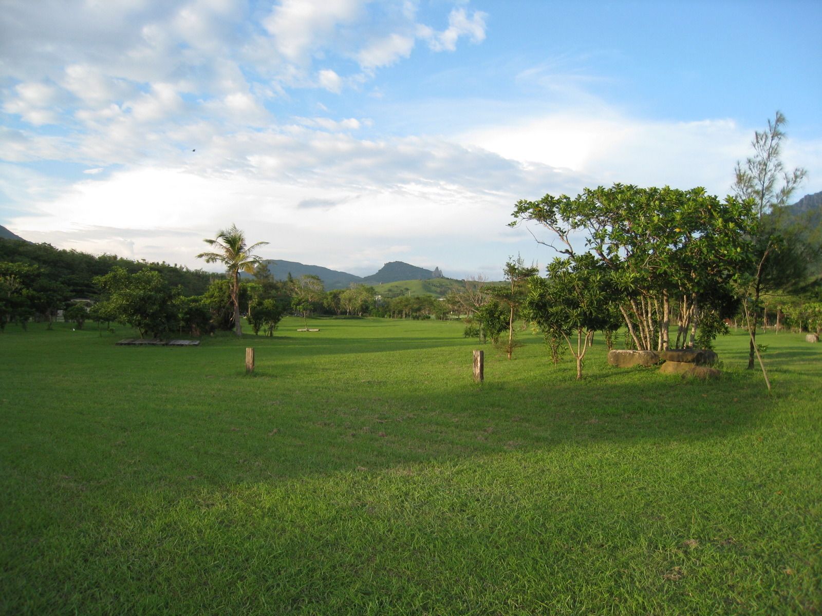 A grassy field with trees and a mountain in the background.