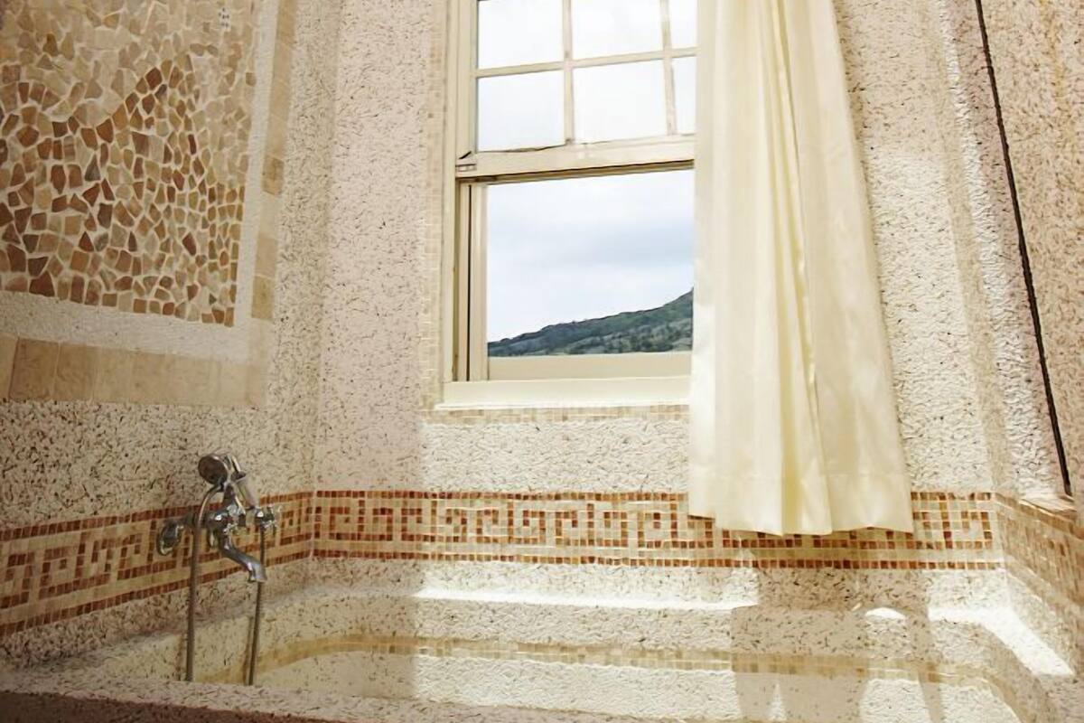 Un baño con tragaluz, ducha, bañera y ventana con vistas.
