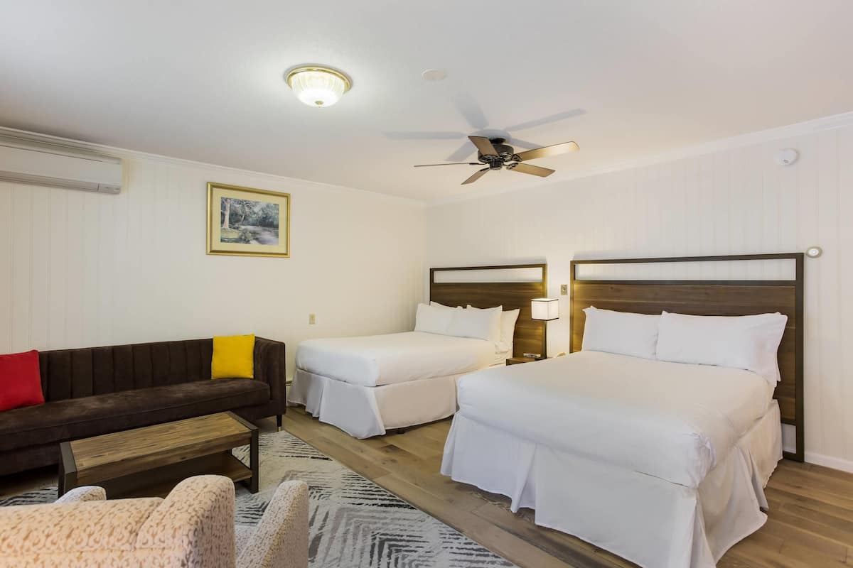 Individueel gedecoreerd, verduisterende gordijnen