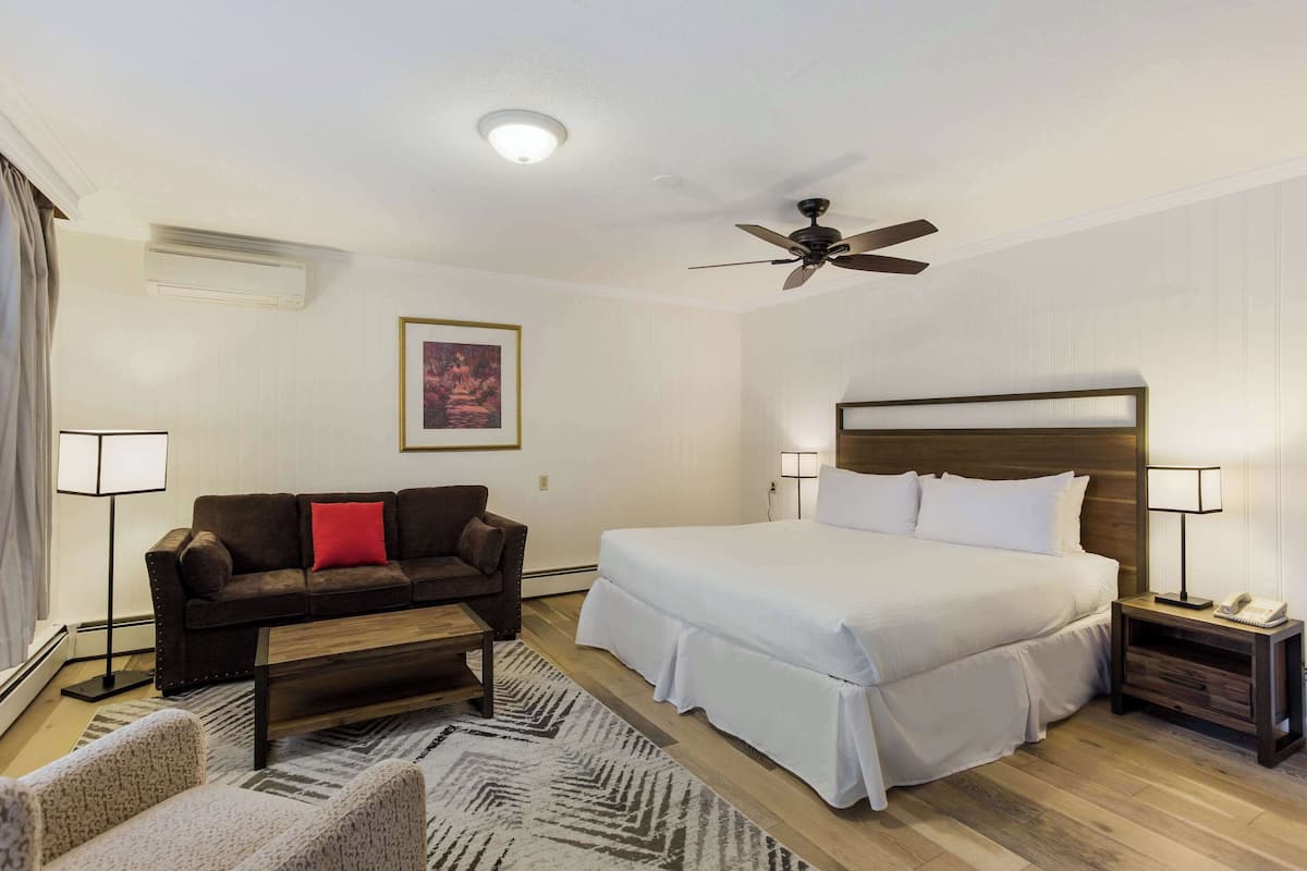 Chambre Standard, 1 trÚs grand lit et 1 canapé-lit, non-fumeur