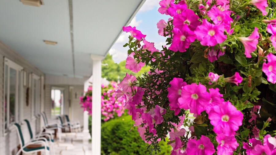 The Palmer House Resort, an Ascend Collection Hotel