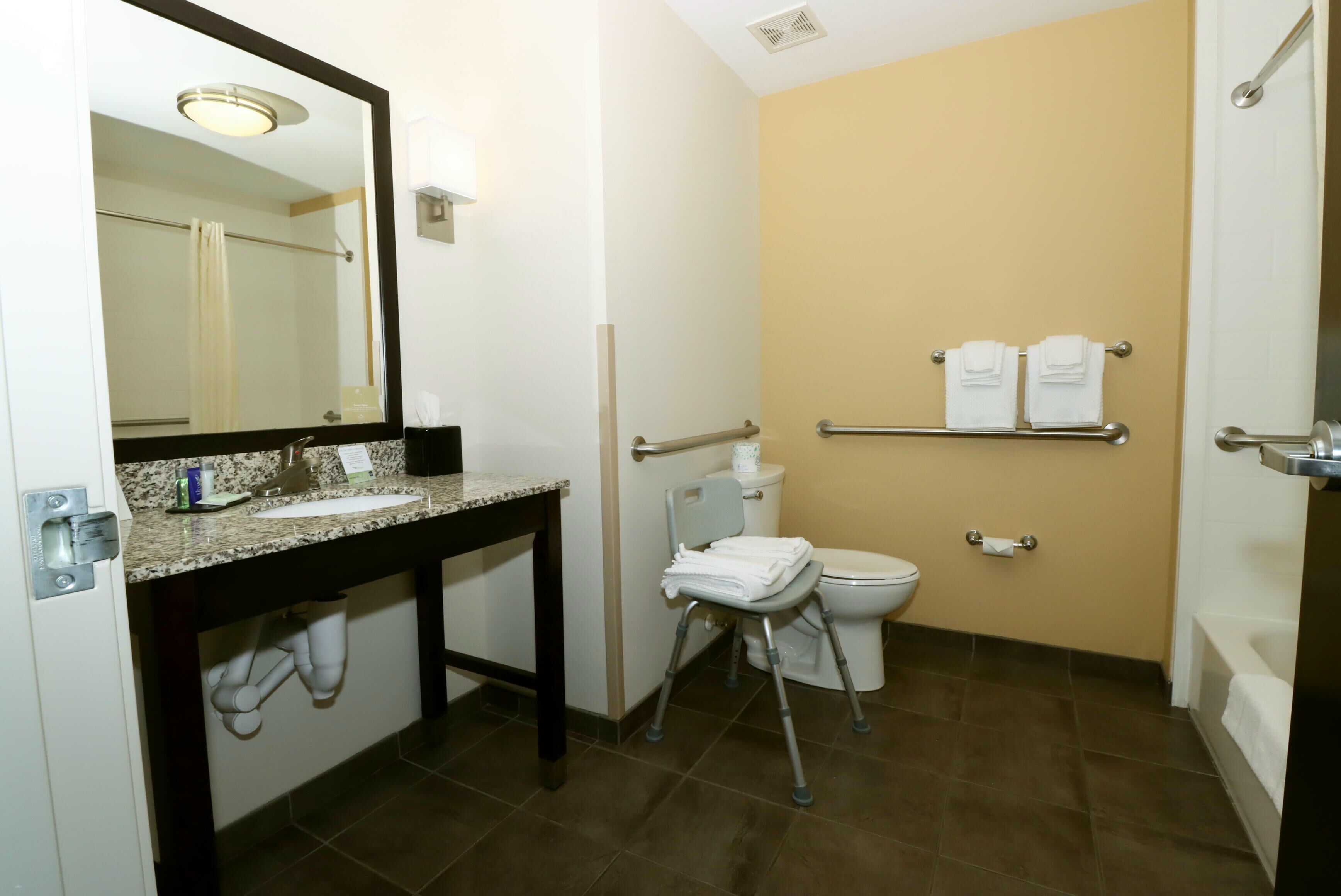 suite, 1 king bed with sofa bed, accessible, non smoking | bathroom | free toiletries, hair dryer, towels
