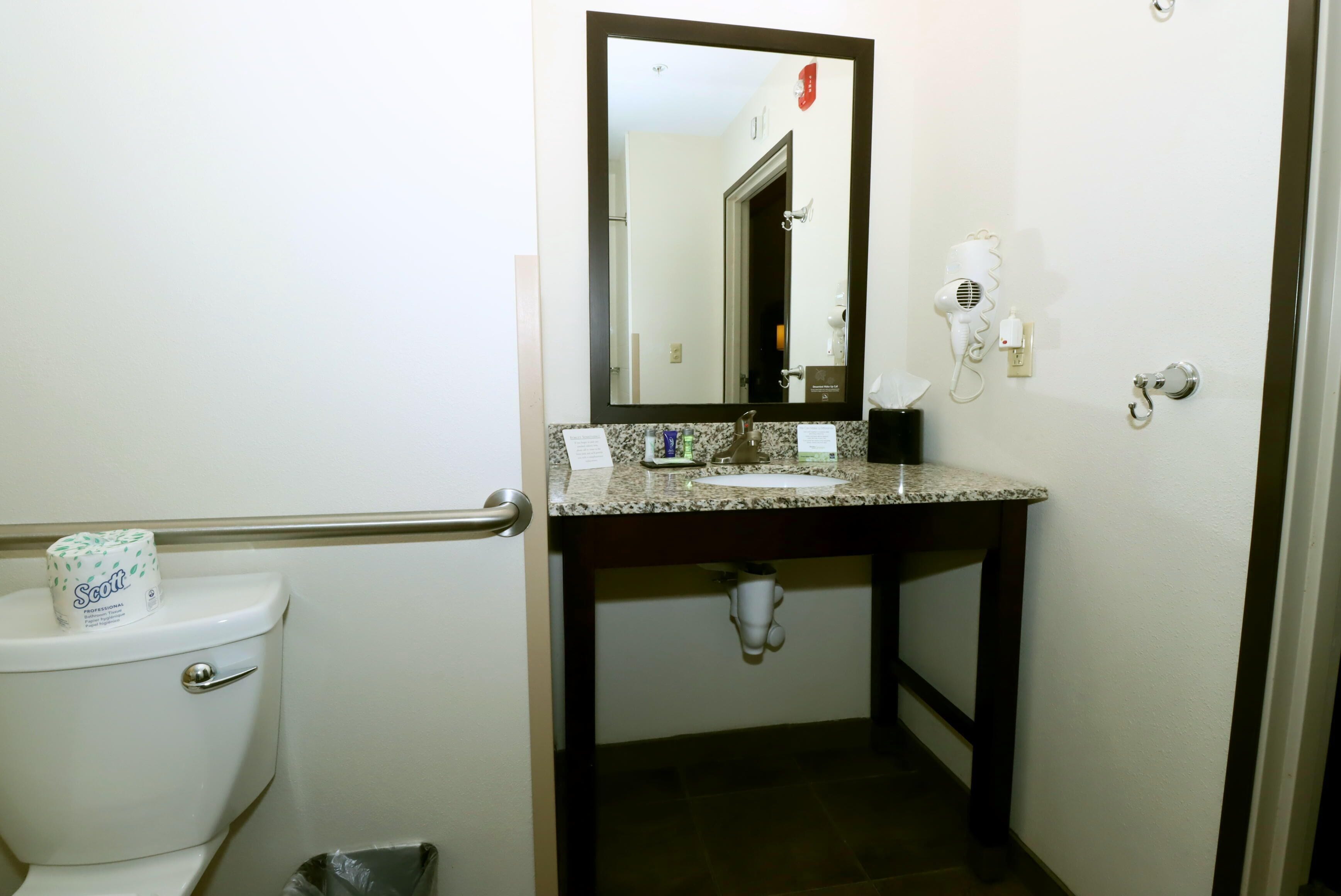 A bathroom with a toilet, sink, mirror, and hairdryer.