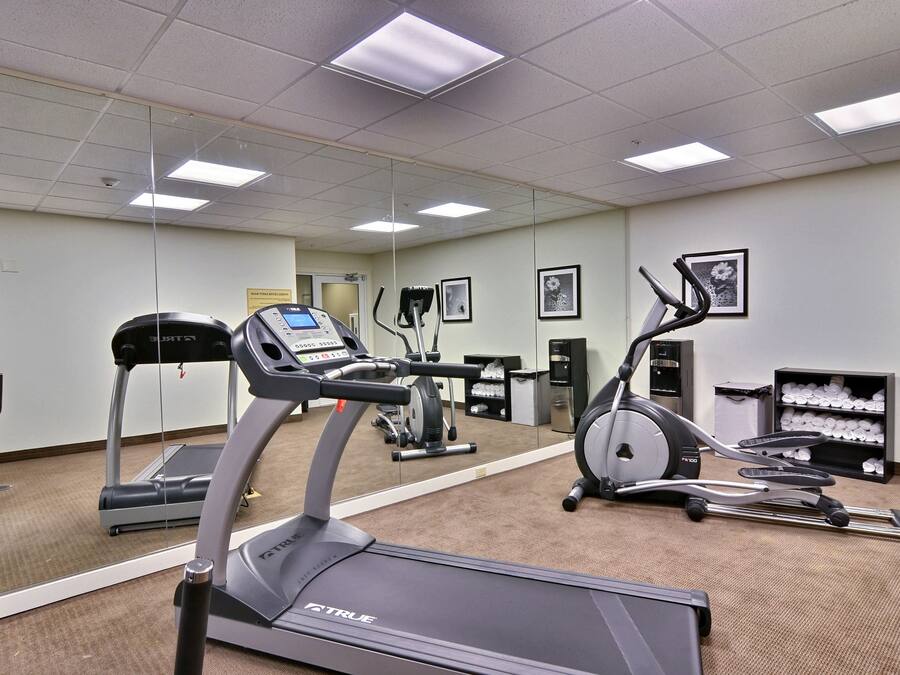 Ein Fitnessstudio mit Laufbändern, Crosstrainern und einem Ergometer.