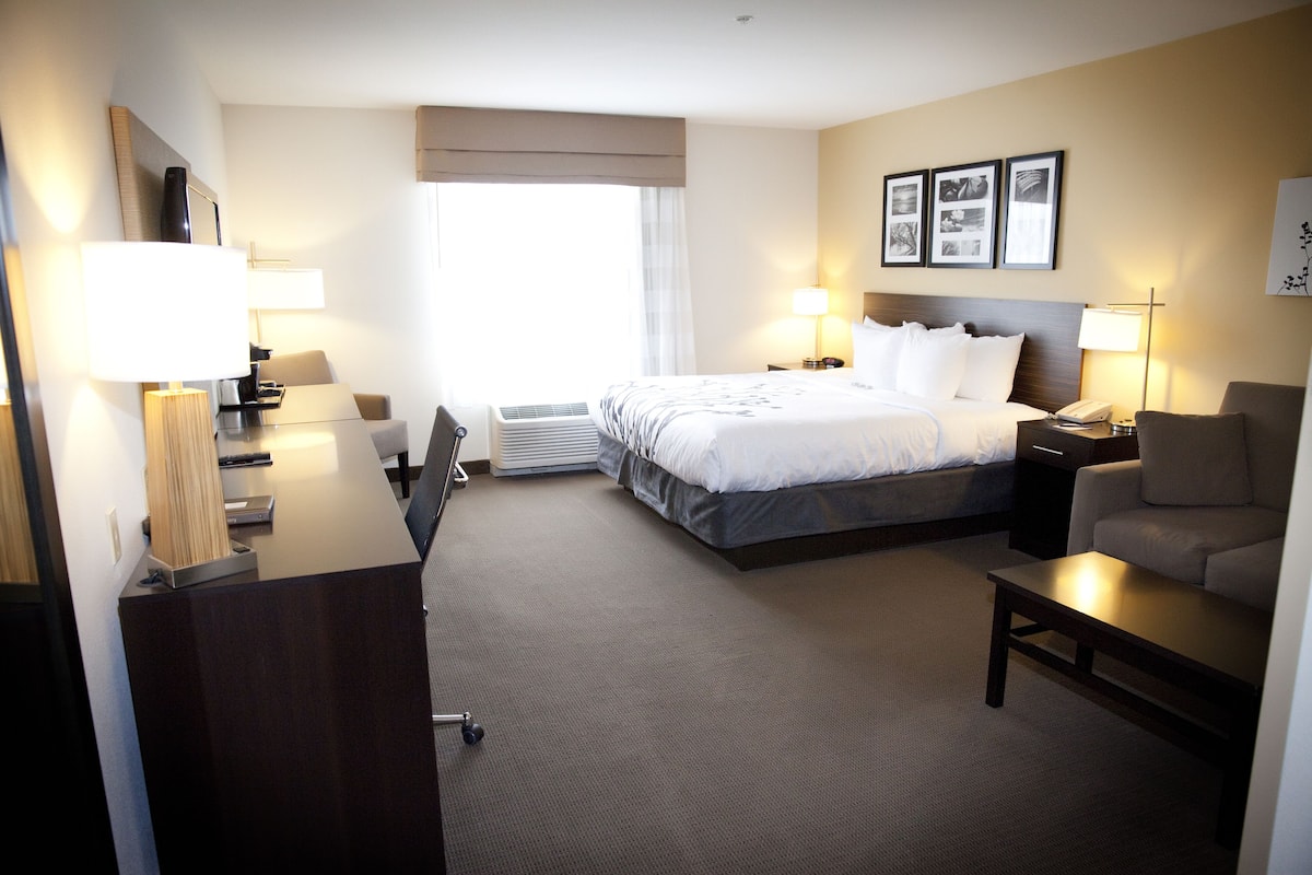 Suite, 1 King Bed with Sofa bed, Non Smoking | Premium bedding, in-room safe, desk, laptop workspace