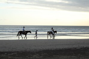 Vue sur la plage ou l’océan